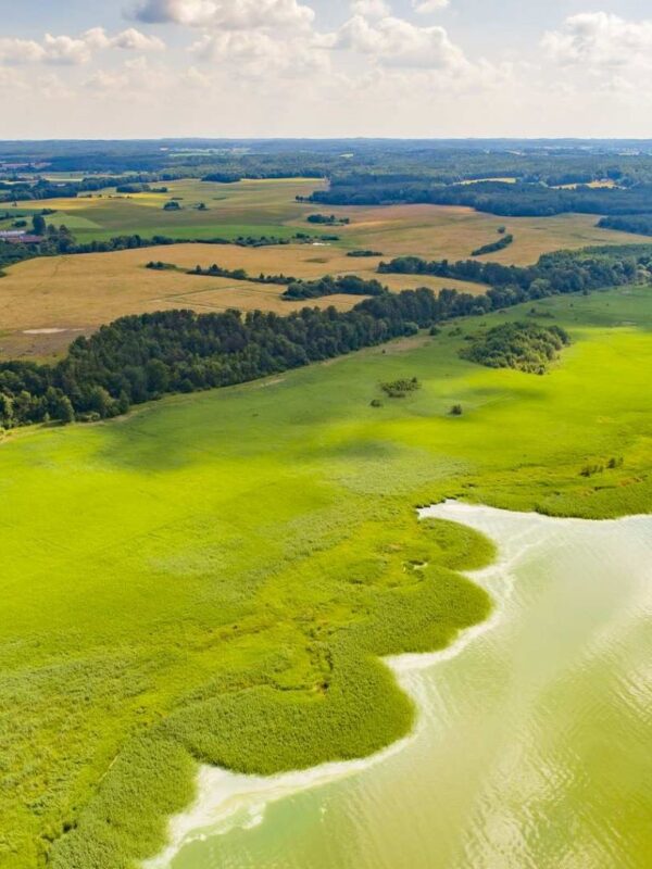 Działki na Mazurach do sprzedaży