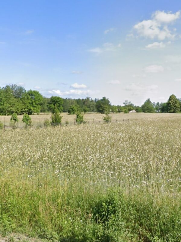 Działka Ostrów na sprzedaż
