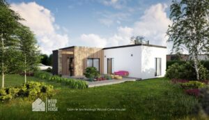 Projekt domu Drawieński 01 - widok na taras ogrodowy