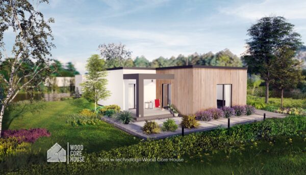 Projekt domu Drawieński 01 - widok na taras ogrodowy