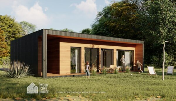 Projekt domu Drawieński 02 - widok na taras za domem