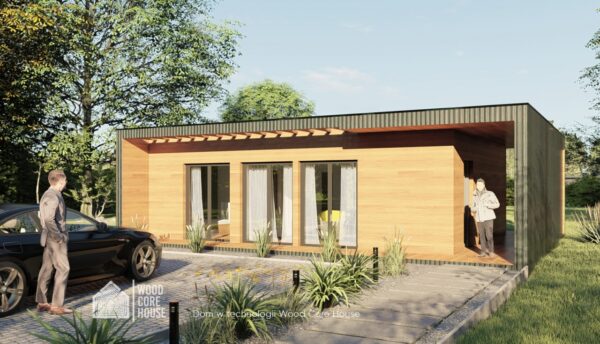 Projekt domu Drawieński 02 - widok na elewację frontową z wejściem