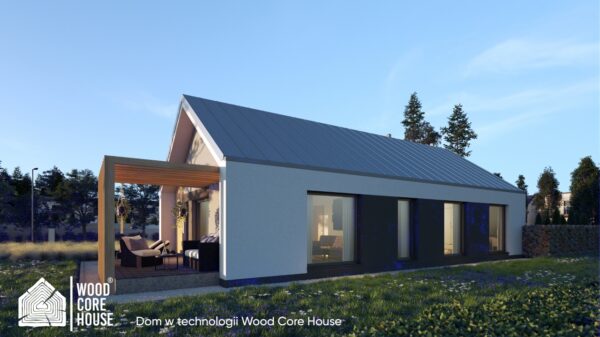 Projekt domu Ojcowski 03A - widok elewacji tylnej z tarasem