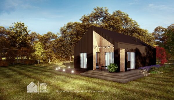 Projekt domu Pieniński 02 - widok na elewację tylną z tarasem