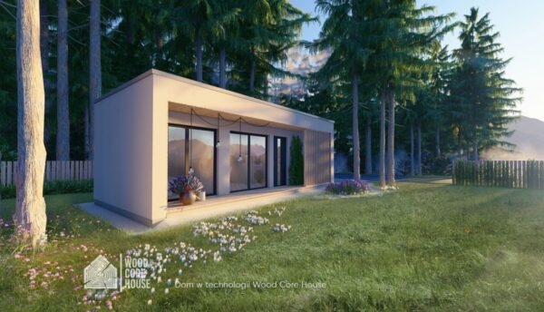 Projekt domu Magurski 01 - widok na elewację frontową z wejściem